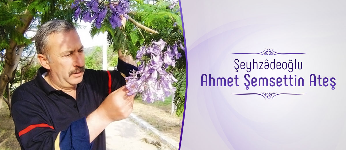 seyhzadeoglu-ahmet-semsettin-ates